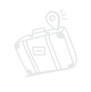 bg-vector